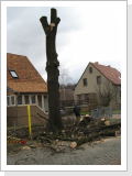 Klicken Sie auf das Bild, um es zu vergrößern